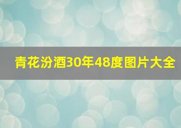 青花汾酒30年48度图片大全