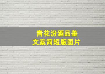 青花汾酒品鉴文案简短版图片