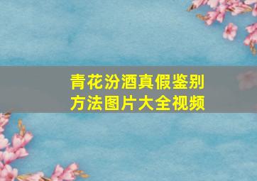 青花汾酒真假鉴别方法图片大全视频