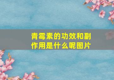 青霉素的功效和副作用是什么呢图片