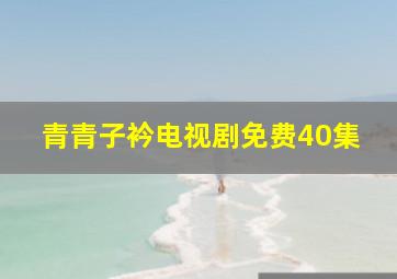 青青子衿电视剧免费40集