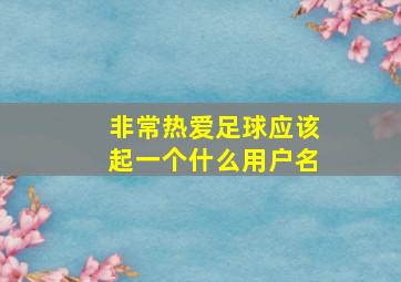 非常热爱足球应该起一个什么用户名