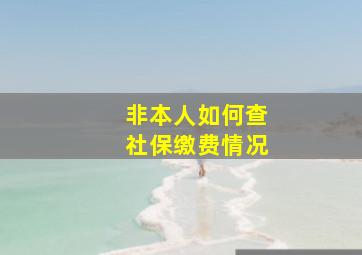 非本人如何查社保缴费情况