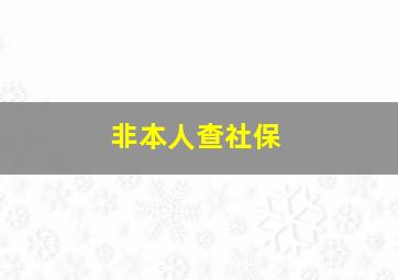 非本人查社保