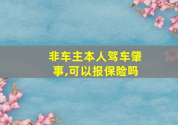 非车主本人驾车肇事,可以报保险吗