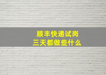 顺丰快递试岗三天都做些什么