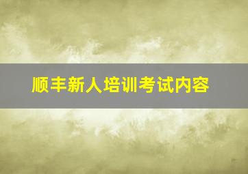 顺丰新人培训考试内容