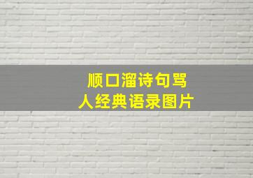 顺口溜诗句骂人经典语录图片