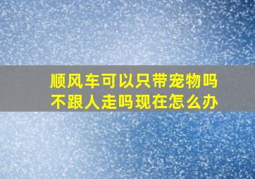 顺风车可以只带宠物吗不跟人走吗现在怎么办