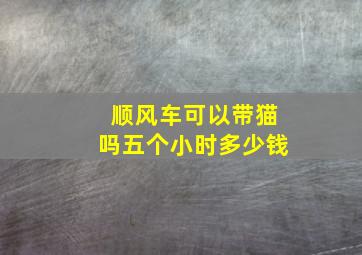 顺风车可以带猫吗五个小时多少钱