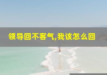 领导回不客气,我该怎么回