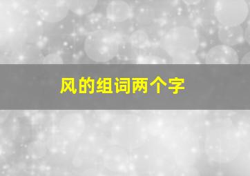 风的组词两个字