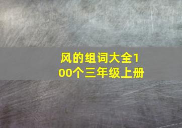 风的组词大全100个三年级上册