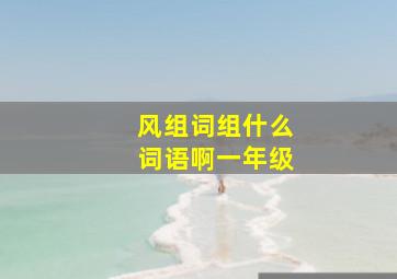 风组词组什么词语啊一年级