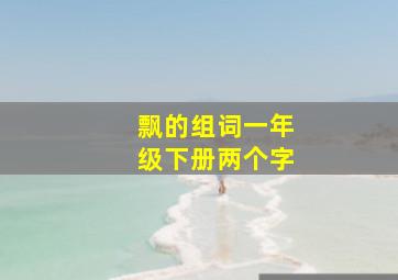 飘的组词一年级下册两个字