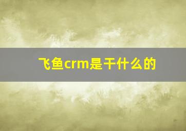 飞鱼crm是干什么的