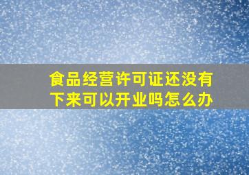 食品经营许可证还没有下来可以开业吗怎么办