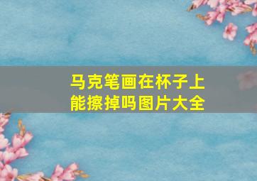 马克笔画在杯子上能擦掉吗图片大全