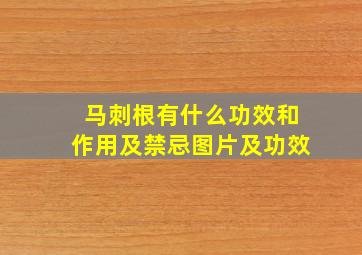 马刺根有什么功效和作用及禁忌图片及功效