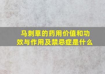 马刺草的药用价值和功效与作用及禁忌症是什么