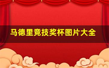 马德里竞技奖杯图片大全