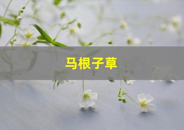 马根子草