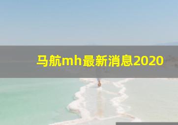 马航mh最新消息2020