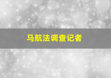 马航法调查记者