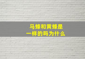 马蜂和黄蜂是一样的吗为什么