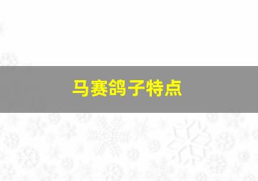 马赛鸽子特点