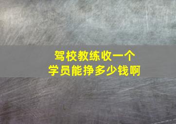 驾校教练收一个学员能挣多少钱啊