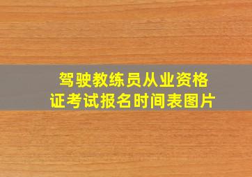 驾驶教练员从业资格证考试报名时间表图片