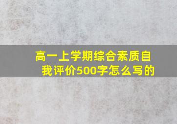 高一上学期综合素质自我评价500字怎么写的