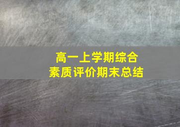 高一上学期综合素质评价期末总结