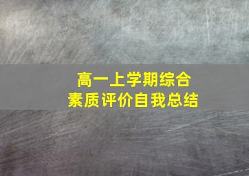 高一上学期综合素质评价自我总结