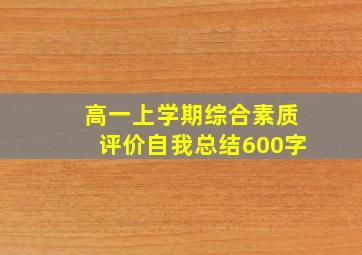 高一上学期综合素质评价自我总结600字