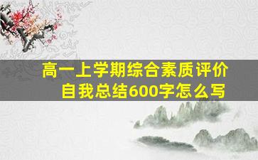 高一上学期综合素质评价自我总结600字怎么写