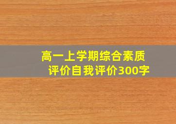 高一上学期综合素质评价自我评价300字