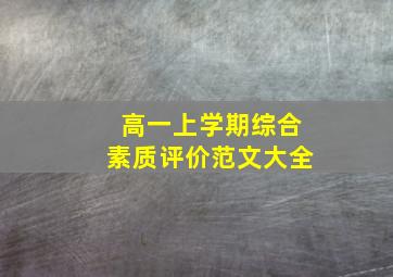 高一上学期综合素质评价范文大全