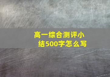 高一综合测评小结500字怎么写