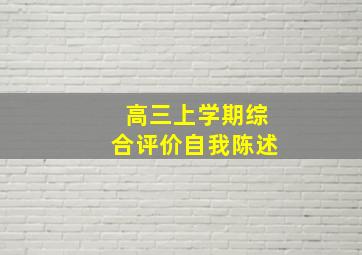 高三上学期综合评价自我陈述