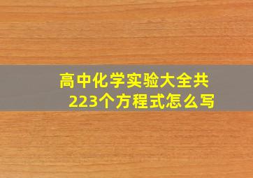 高中化学实验大全共223个方程式怎么写