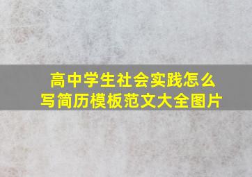 高中学生社会实践怎么写简历模板范文大全图片