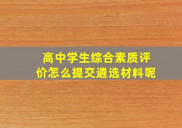 高中学生综合素质评价怎么提交遴选材料呢