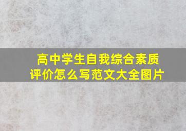 高中学生自我综合素质评价怎么写范文大全图片