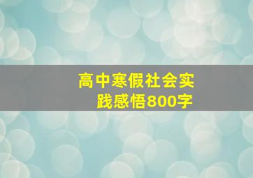 高中寒假社会实践感悟800字