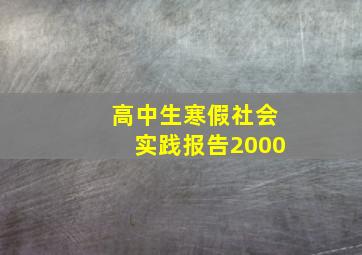 高中生寒假社会实践报告2000