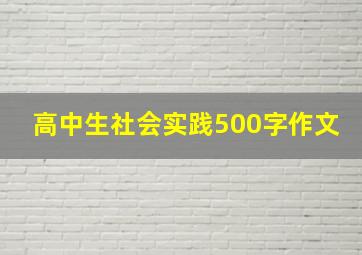 高中生社会实践500字作文