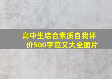 高中生综合素质自我评价500字范文大全图片