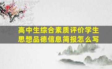 高中生综合素质评价学生思想品德信息简报怎么写